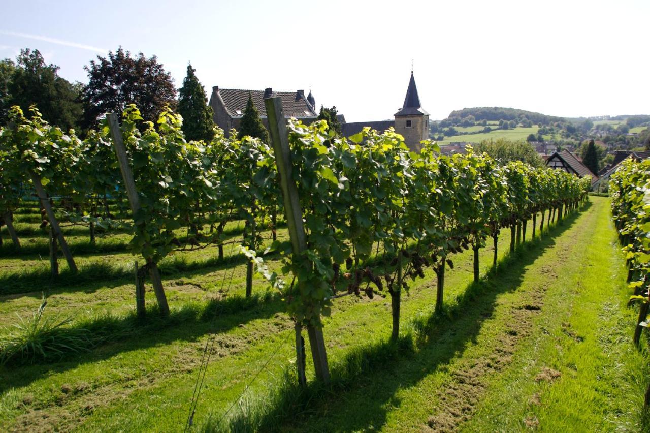 ホテル Landgoed Kasteel De Hoogenweerth マーストリヒト エクステリア 写真